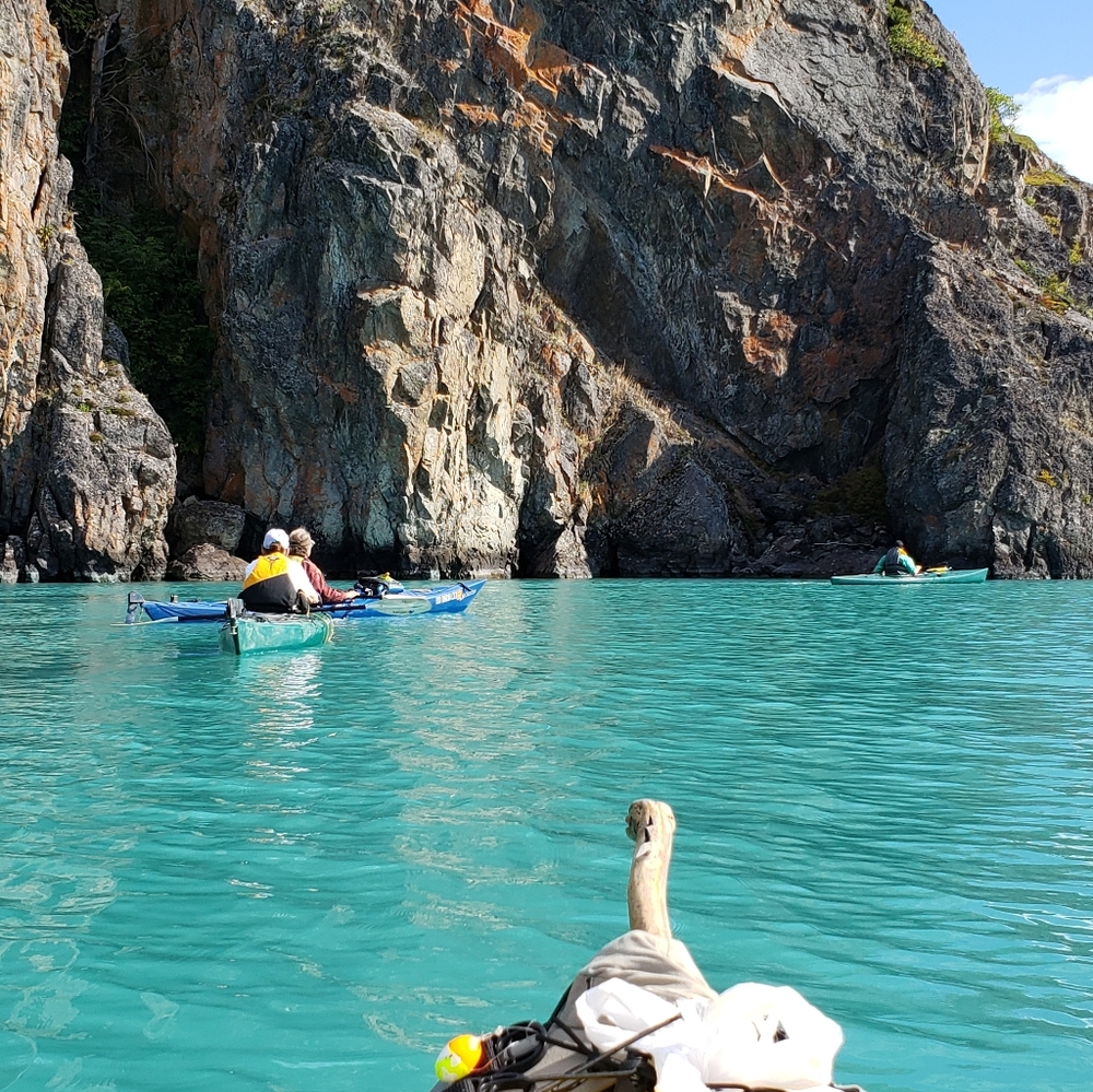 Meet your Posher, Terter - Picture 6 of 16